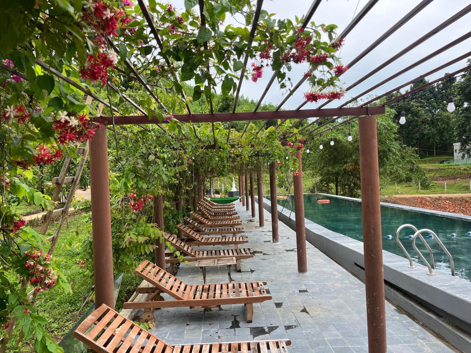 Nguyen Shack Retreat Resort Φονγκ Να Εξωτερικό φωτογραφία