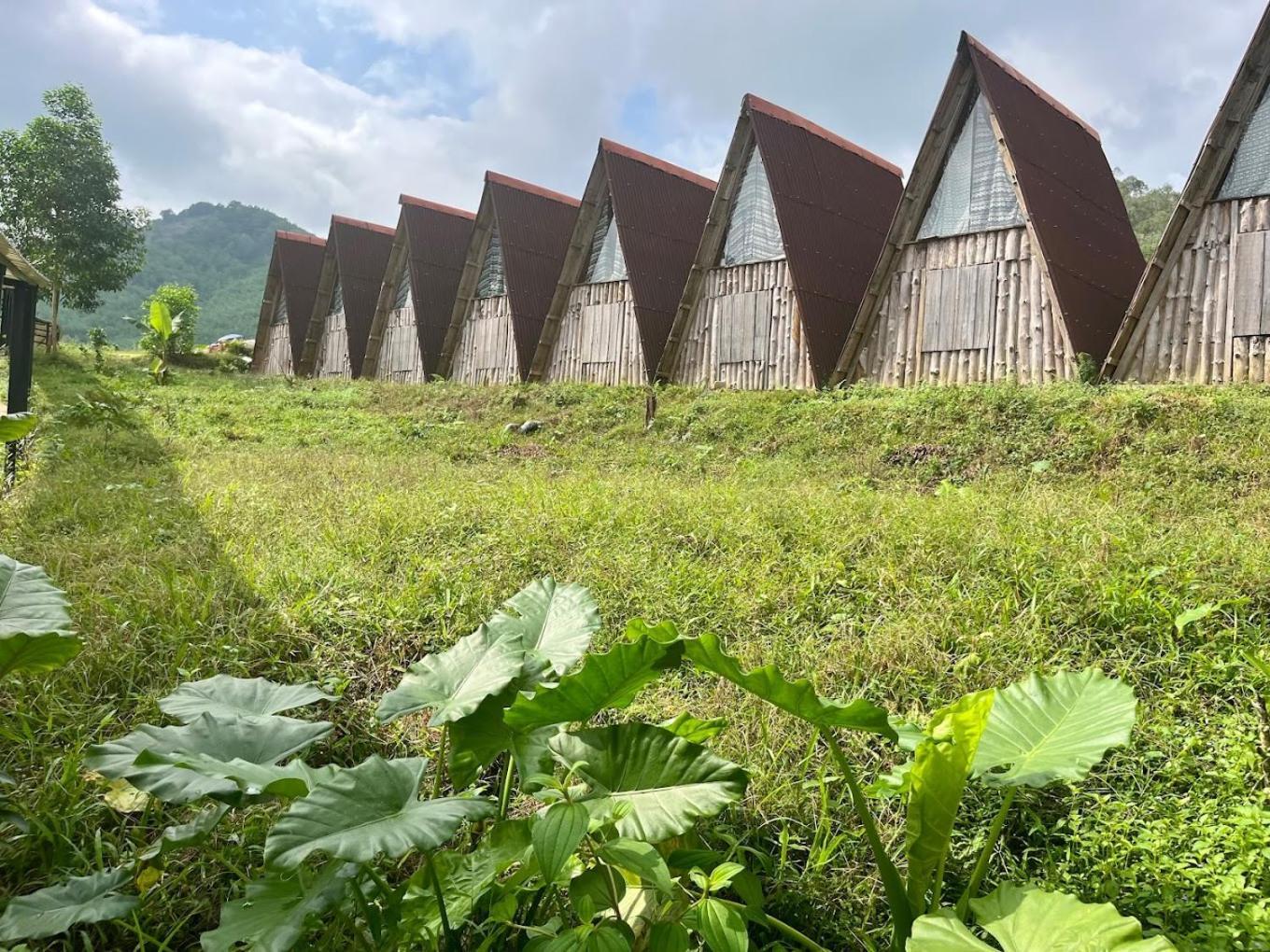Nguyen Shack Retreat Resort Φονγκ Να Εξωτερικό φωτογραφία